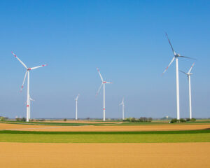 A field with several wind turbines in the background.